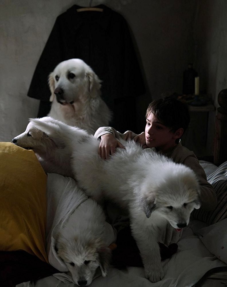 Photo du film Belle et Sébastien 3: Le dernier chapitre