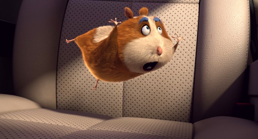 Photo du film Animal Crackers