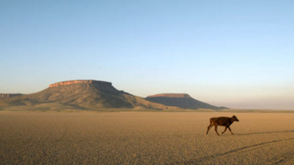 Photo du film Australie v.f.