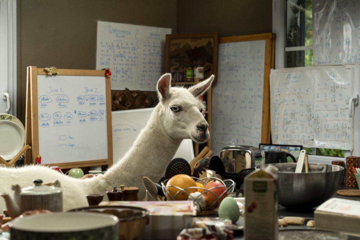 Photo du film Le sens de la famille