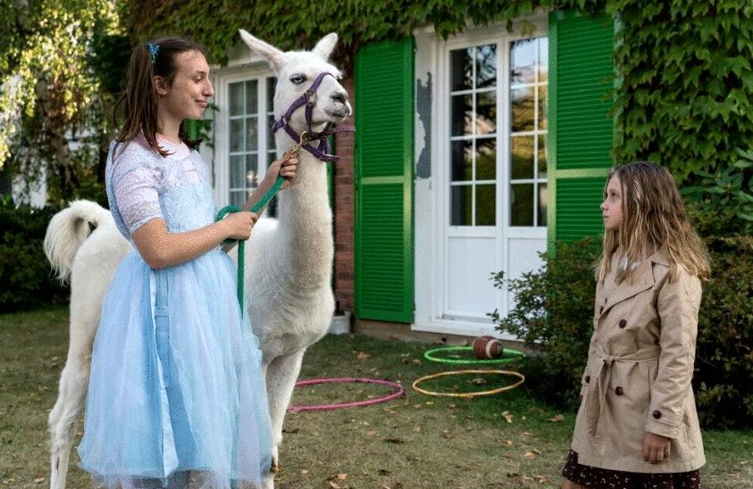 Photo du film Le sens de la famille