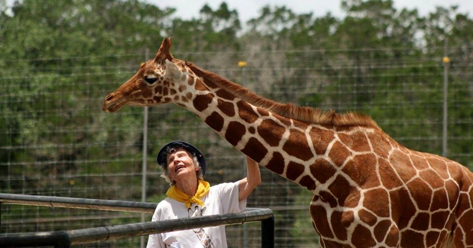 Photo du film The Woman Who Loves Giraffes