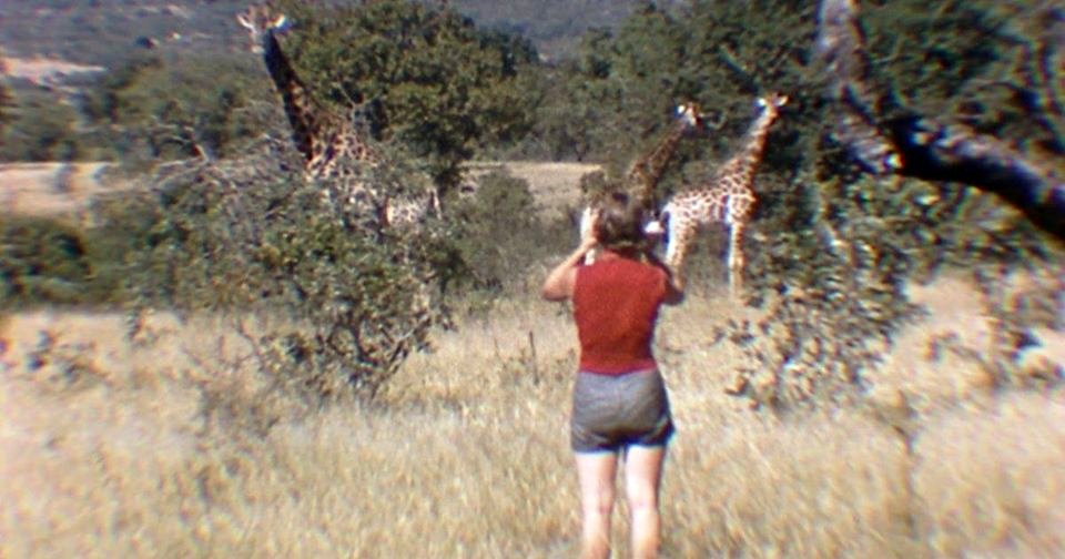 Photo du film The Woman Who Loves Giraffes