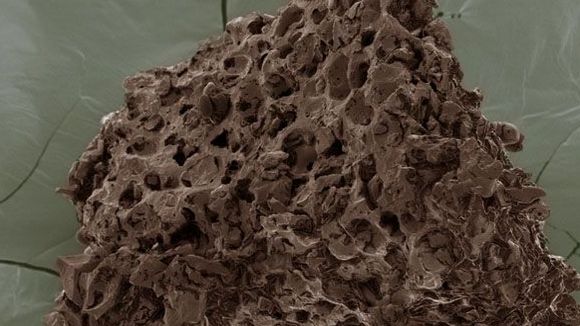 Photo from the movie Mysteries of the Unseen World