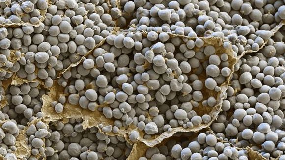 Photo from the movie Mysteries of the Unseen World