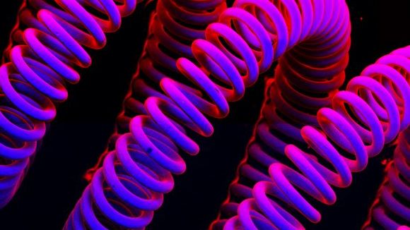 Photo from the movie Mysteries of the Unseen World