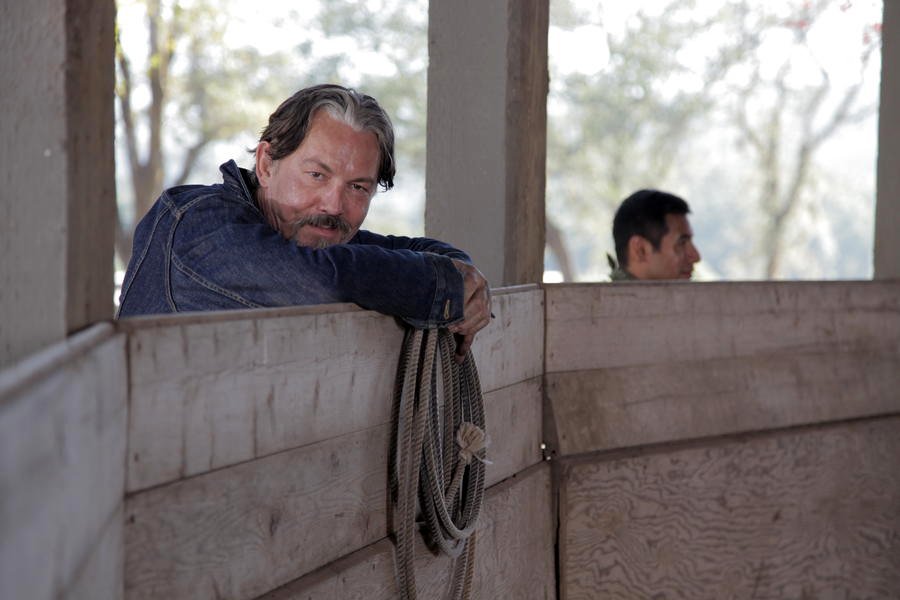 Photo du film Running Wild