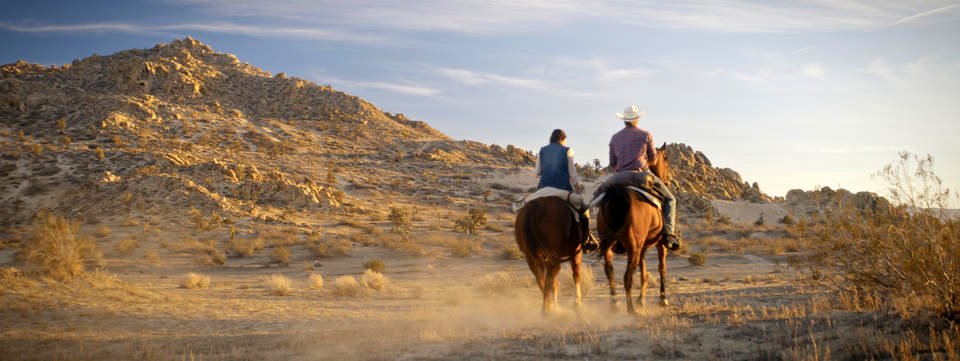 Photo du film Running Wild