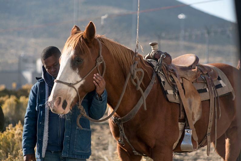 Photo du film The Mustang