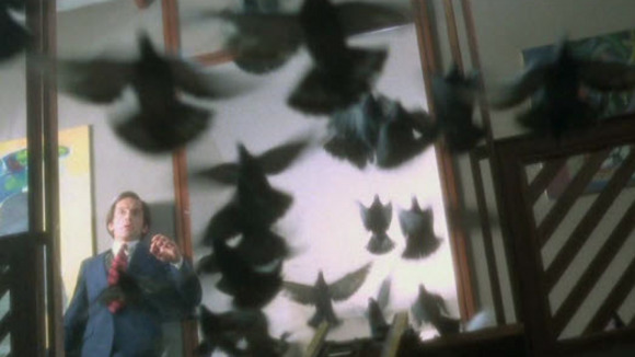 Photo from the movie Stridulum