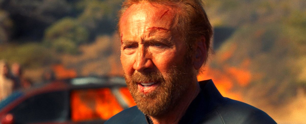 Photo du film The Surfer