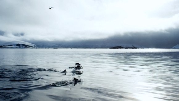 Photo du film Antarctica: On the Edge