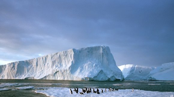 Photo du film Antarctica: On the Edge