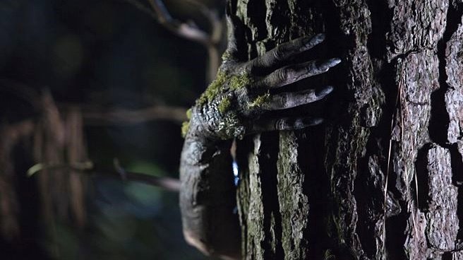 Photo from the movie Arbor Demon