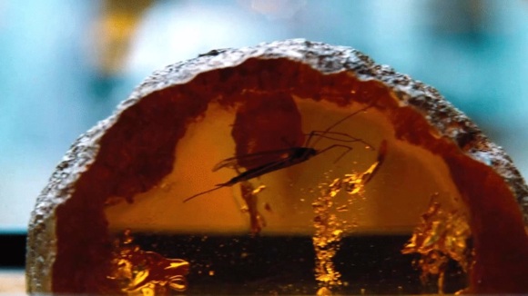 Photo du film Monde Jurassique