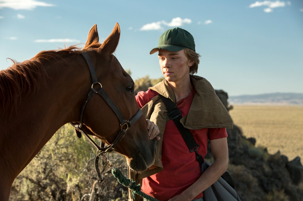 Photo du film Lean on Pete