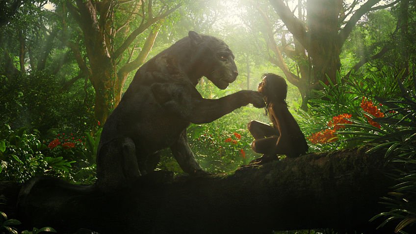 Photo du film Mowgli v.f.
