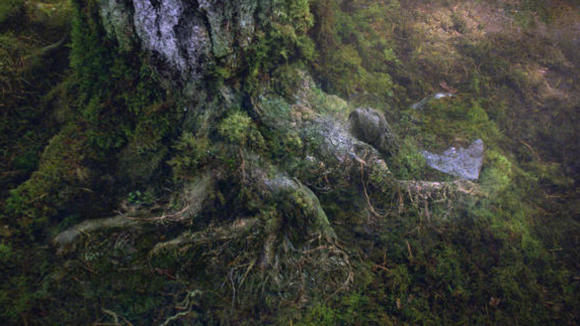 Photo du film Percy Jackson: La mer des monstres