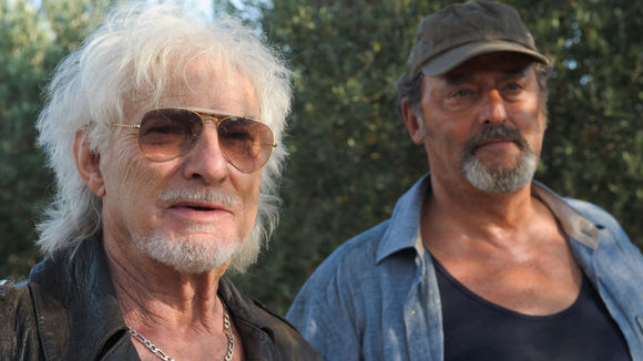 Photo du film Un été en Provence