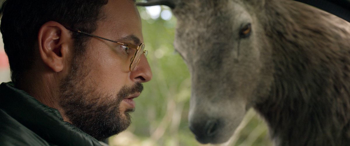 Photo from the movie Open Season