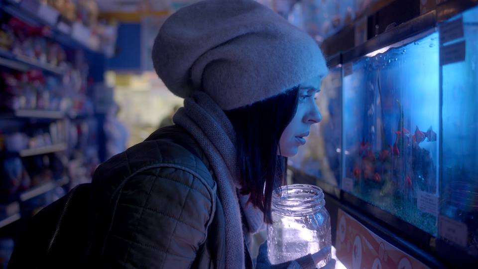 Photo du film Carrie Pilby