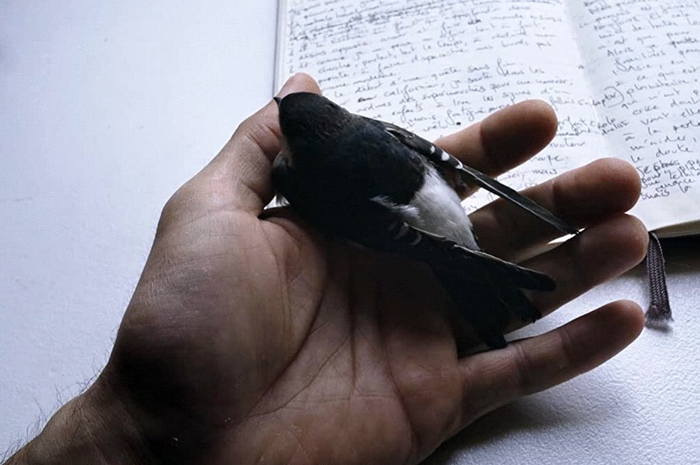 Photo du film Une fois que tu sais