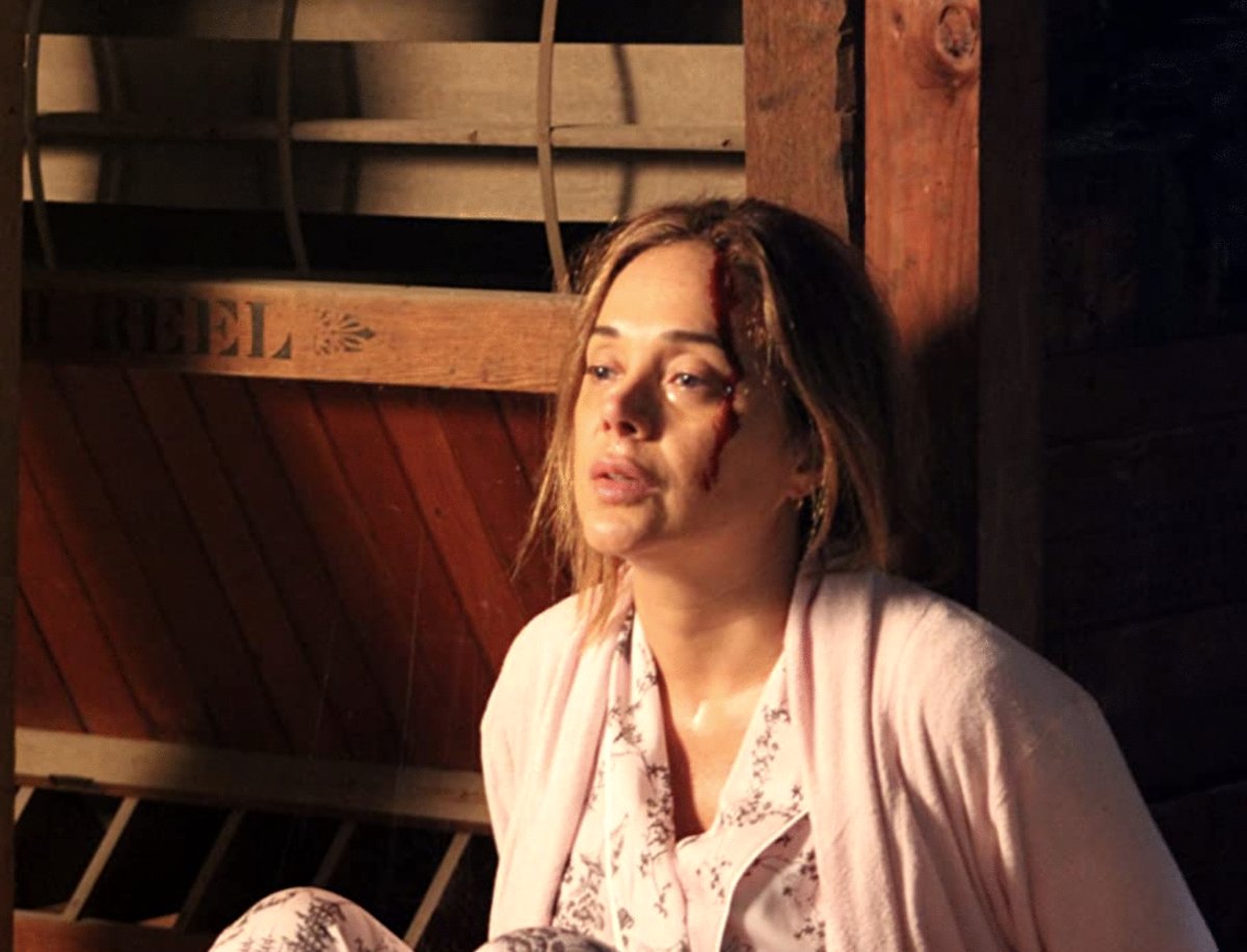 Photo du film The Surprise Visit