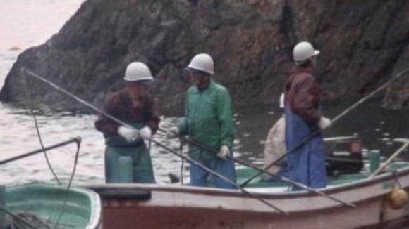 Photo du film The Cove