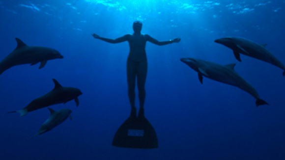 Photo du film The Cove