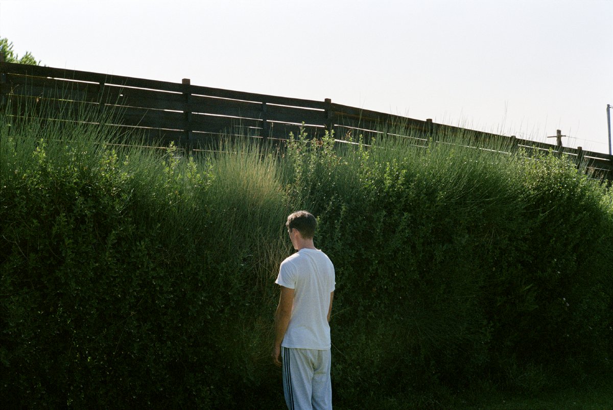 Photo from the movie Dogtooth