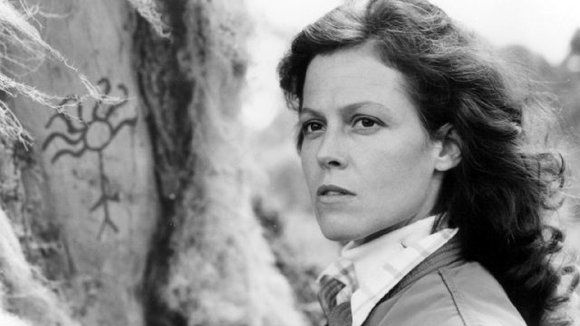 Photo du film Gorilles dans la brume