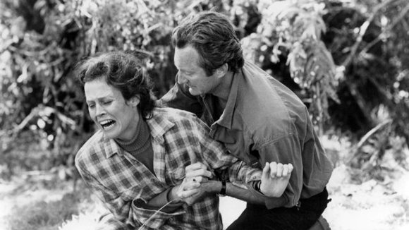 Photo du film Gorilles dans la brume