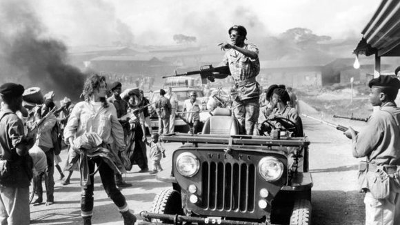 Photo du film Gorilles dans la brume