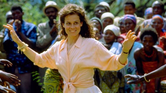 Photo du film Gorilles dans la brume