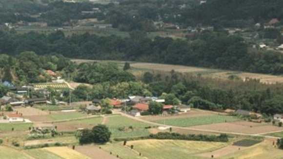 Photo du film Le Goût du thé