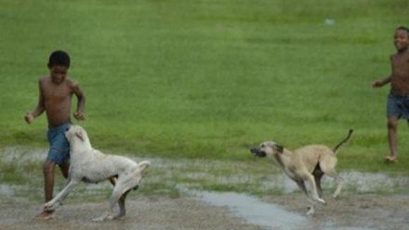 Photo from the movie Sugar