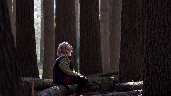 Photo du film The Daughter