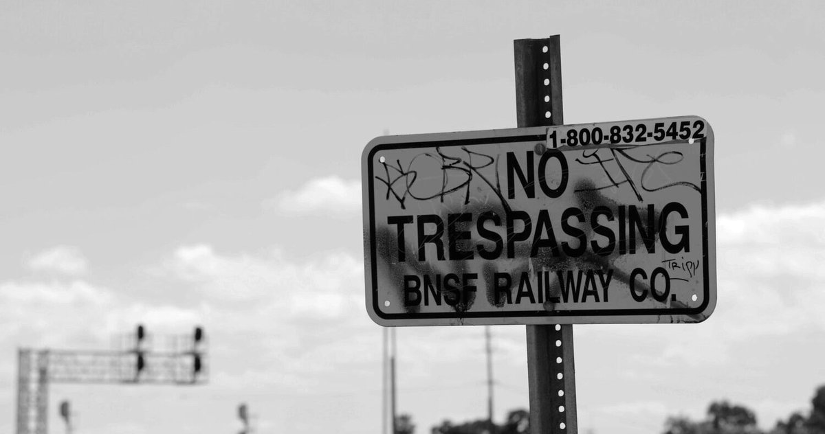 Photo du film Ferroequinology