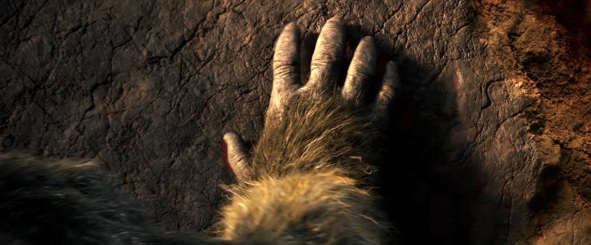 Photo du film Godzilla vs. Kong