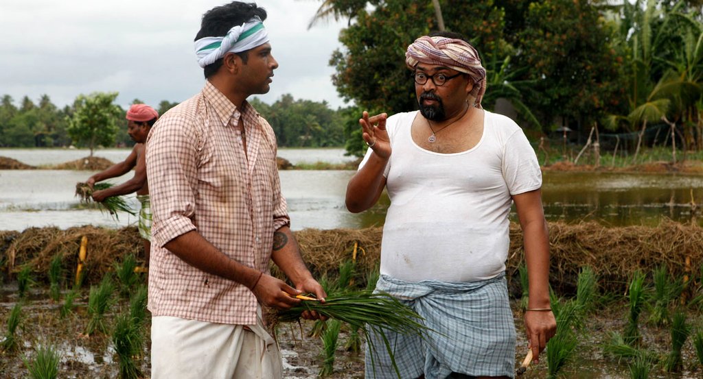 Photo from the movie Basmati Blues