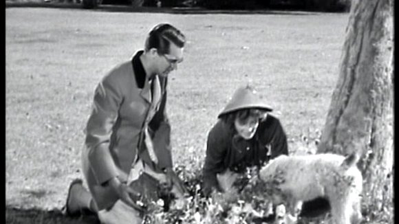 Photo from the movie Bringing Up Baby