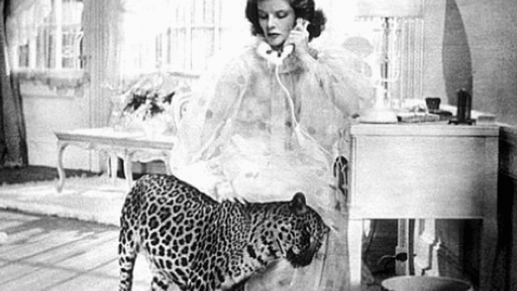 Photo from the movie Bringing Up Baby