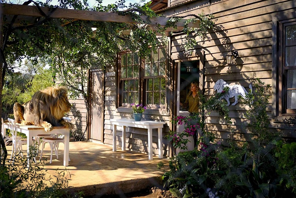 Photo du film Mia et le lion blanc