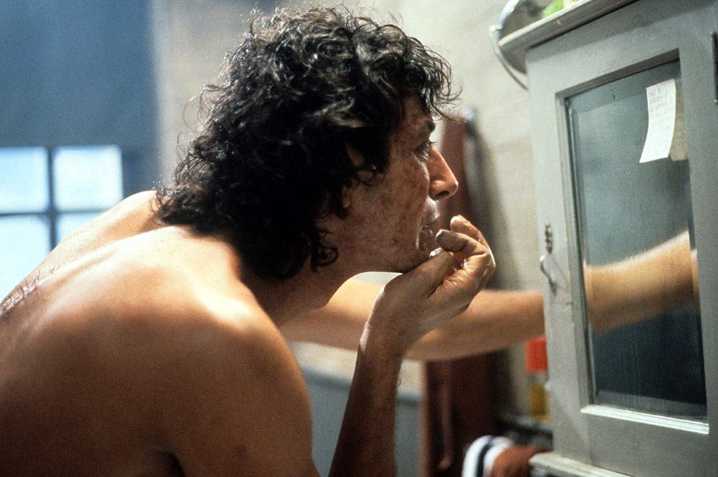 Photo from the movie The Fly
