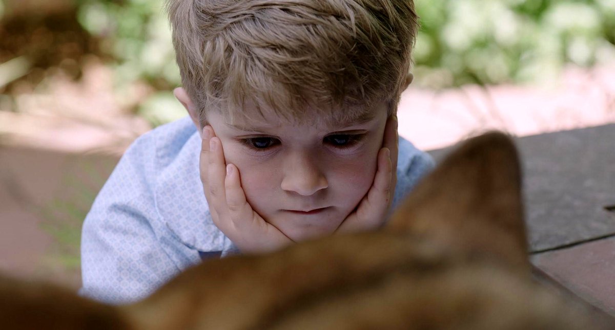 Photo from the movie White Dog
