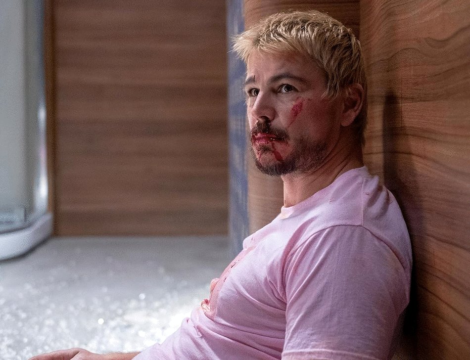 Photo du film Fight or Flight