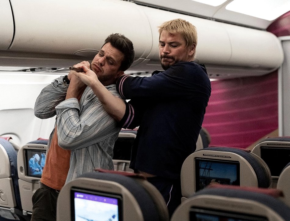Photo du film Fight or Flight