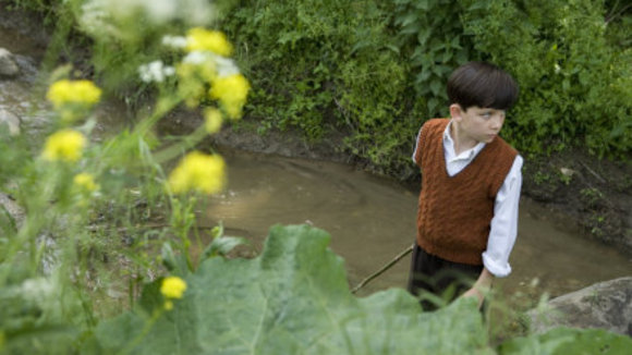 Photo du film The Boy in the Striped Pajamas