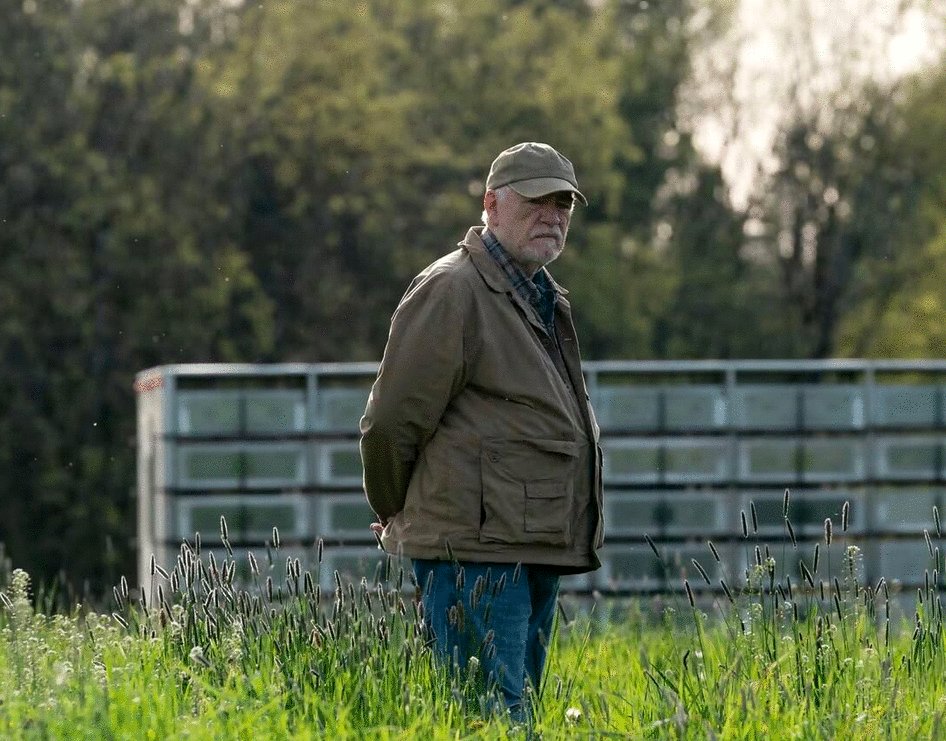 Photo from the movie Little Wing