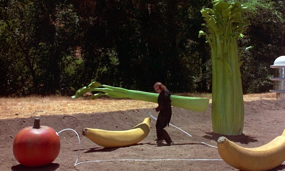 Photo du film Sleeper